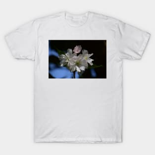 Nature’s Window: Cherry Ice Cream T-Shirt